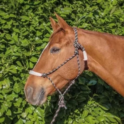 Licol éthologique confort T de T