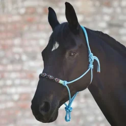 Licol éthologique Pearls