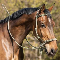 Licol éthologique polyvalent QHP