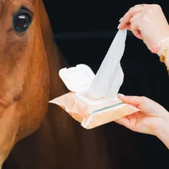 Lingettes Easy Shine Ravene