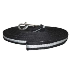 Longe à tourner Canter