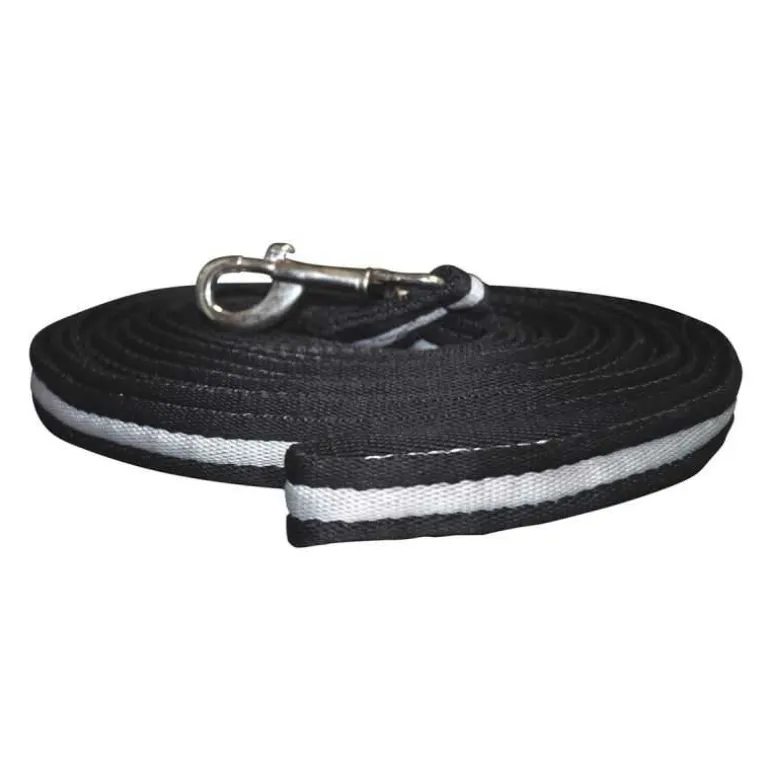 Longe à tourner Canter