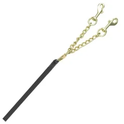 Longe présentation Canter