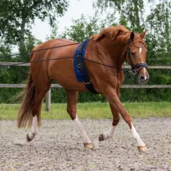 Longues rênes QHP - 16m