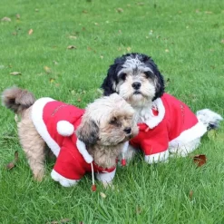 Manteau pour chien Noël QHP