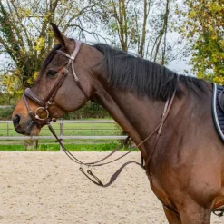 Martingale à anneaux Horse & Go