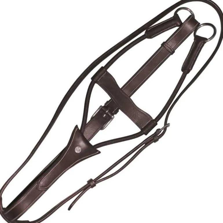 Martingale élastique Canter