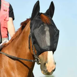 Masque anti-mouches de travail Equilibrium