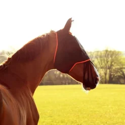 Masque anti-mouches MIDI avec oreilles Equilibrium