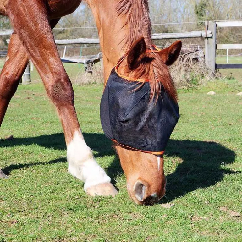 Masque anti-mouches Midi sans oreille Equilibrium