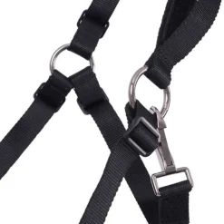 Muselière Q-essentials