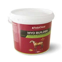 Myo Builder Paskacheval