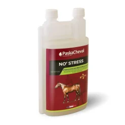 No stress Paskacheval