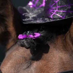 Noeuds de crinière Halloween QHP