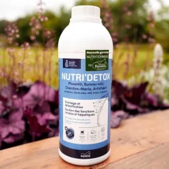 Nutri Detox Ravene