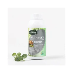 Nutriflex 500 ml Ravene