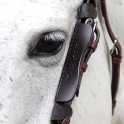 Oeillères en cuir Flags & Cup