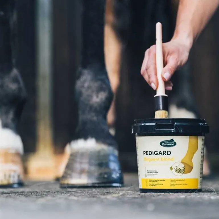Onguent blond Pedigard Ravene - 1L
