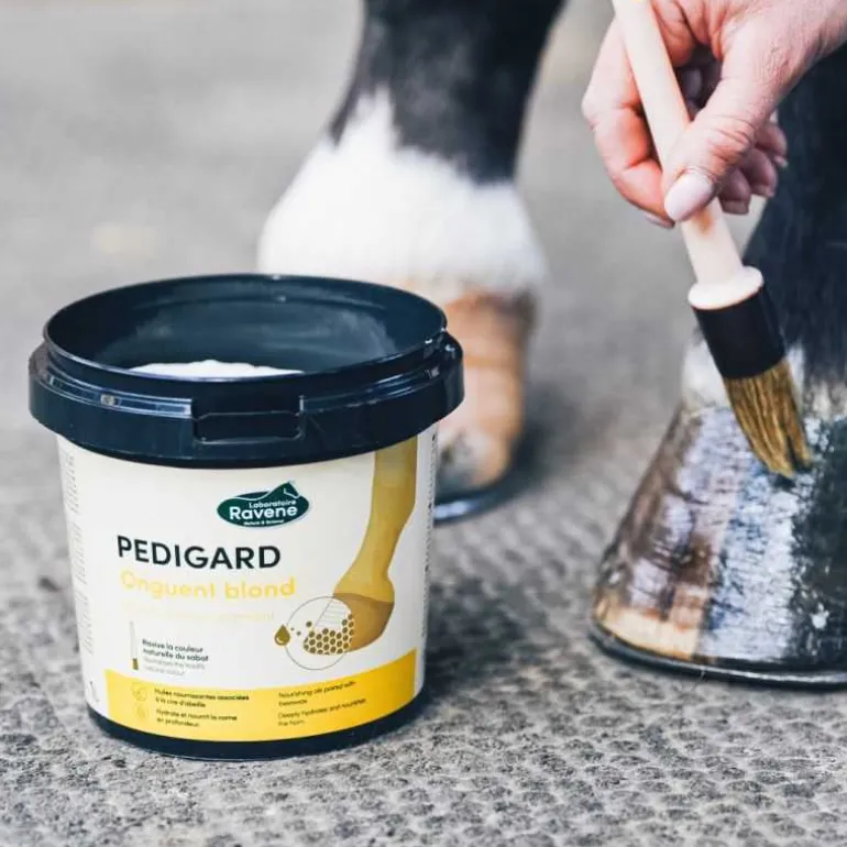 Onguent blond Pedigard Ravene - 1L