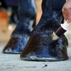 Onguent Noir Pedigard Ravene 400ml