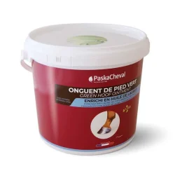 Onguent Vert 5L Paskacheval