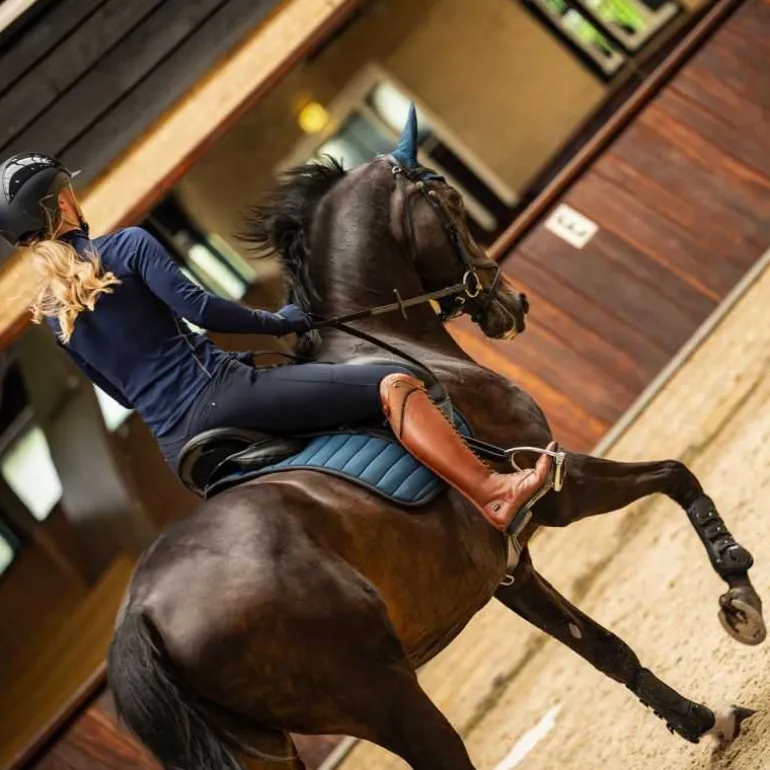 Pantalon femme Lymee Softshell Full grip QHP