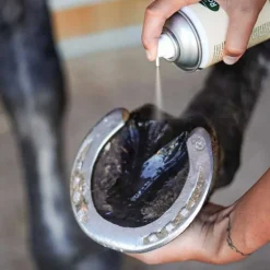 Pedicade Ravene 500ml