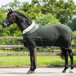 Polaire brilliance QHP