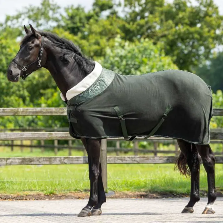 Polaire brilliance QHP