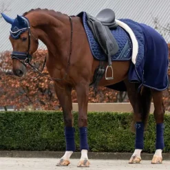 Polaire brilliance QHP