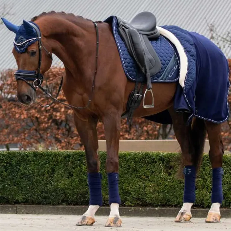 Polaire brilliance QHP