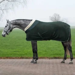 Polaire brilliance QHP