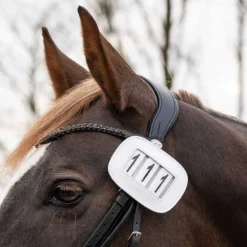 Porte Numéro Modeste QHP