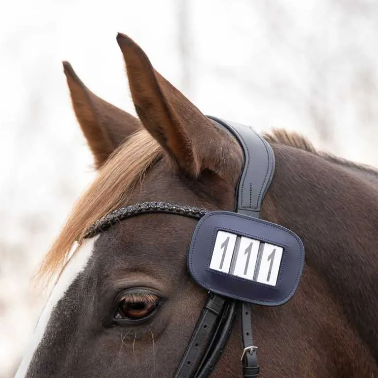 Porte Numéro Modeste QHP