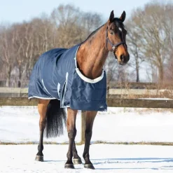 Protection de poitrail Ontario QHP