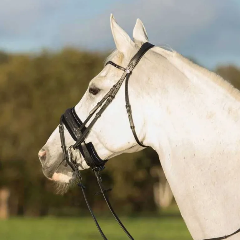 Protège muserolle Madelon QHP