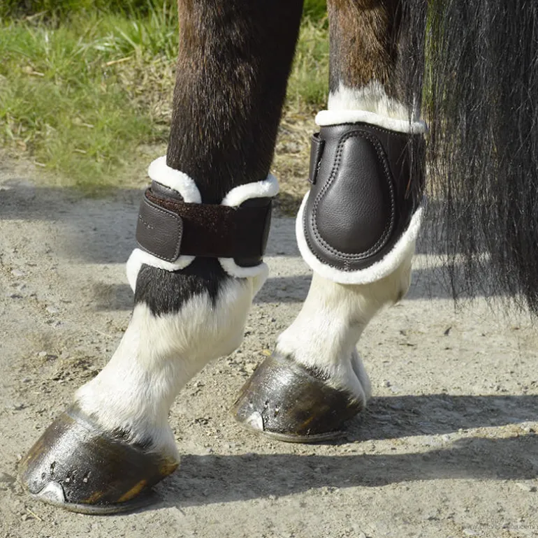 Protège-boulets mouton Stationata