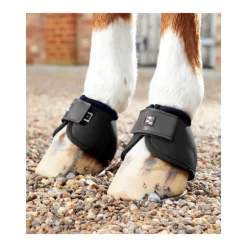 Protège-glomes Premier Equine