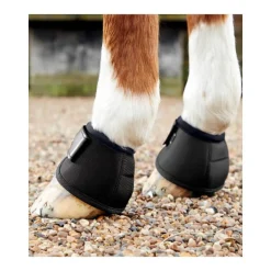 Protège-glomes Premier Equine