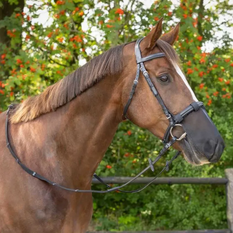 Protège-nez Q-Essentials