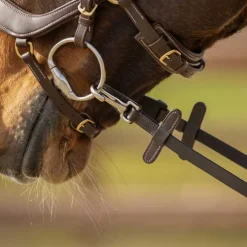 Rênes antidérapantes avec mousqueton QHP