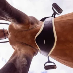 Sangle anatomique en cuir et mouton amovible T de T