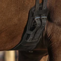 Sangle de dressage Air Mesh QHP