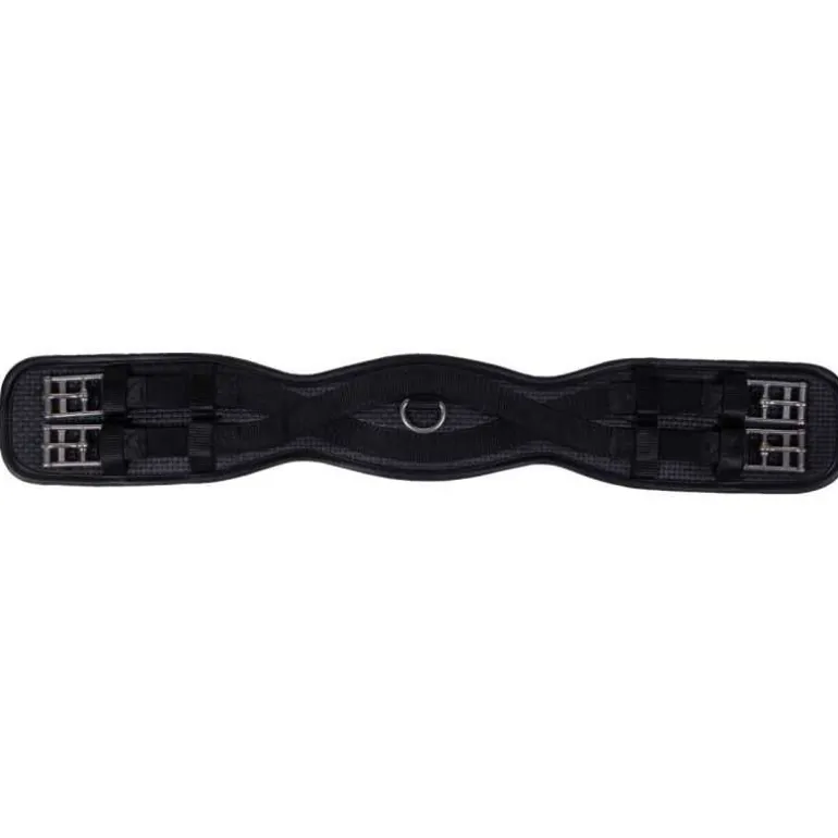 Sangle de dressage Basic Pro QHP