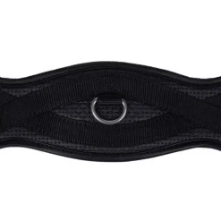 Sangle de dressage Basic Pro QHP