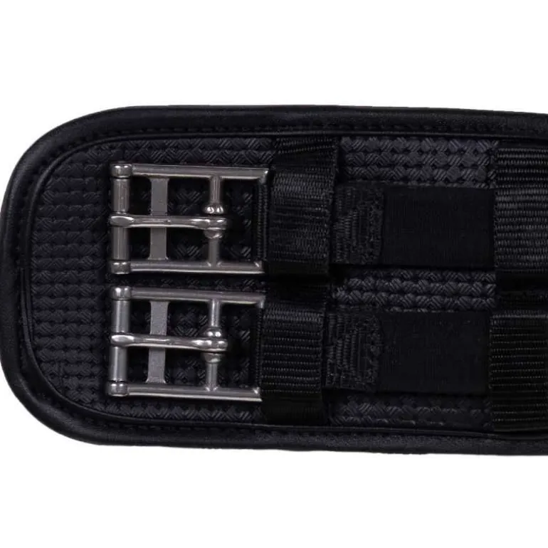 Sangle de dressage Basic Pro QHP