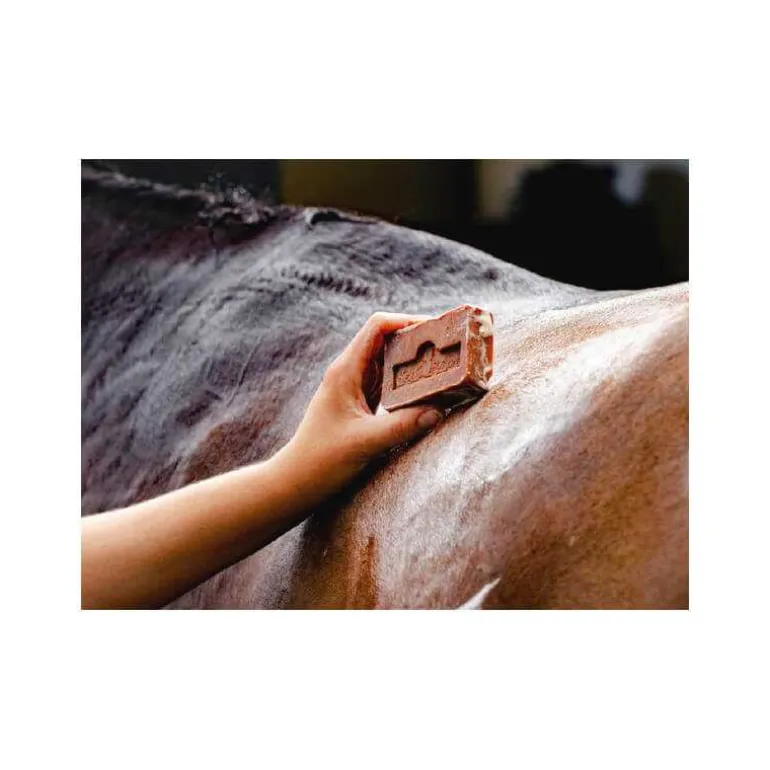 Savon Active Soap Kevin Bacon's