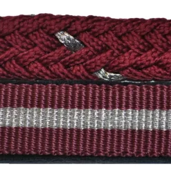 Set licol + longe lurex Canter