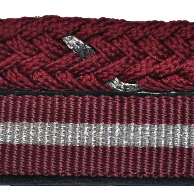 Set licol + longe lurex Canter