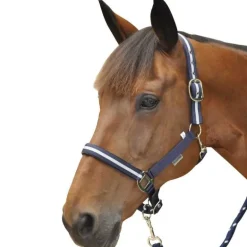 Set licol + longe lurex Canter